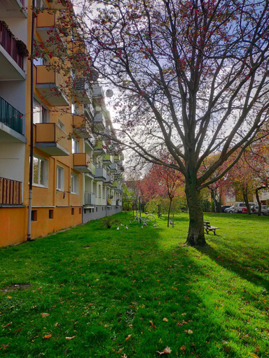 Others 4, Muszelka, Kołobrzeg