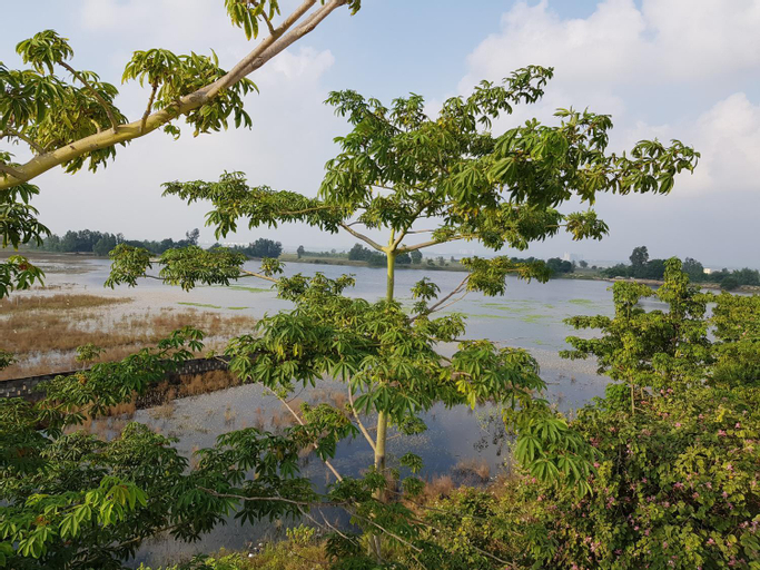 Scenery 4