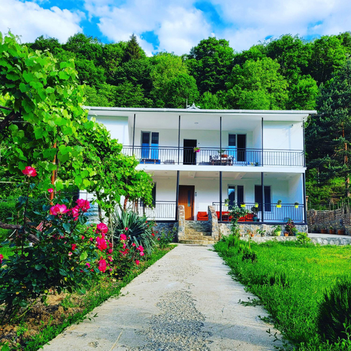 Others 3, Family hotel mountain panorama, Borjomi