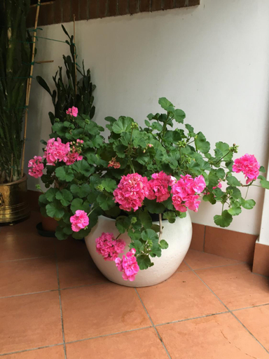 Others 3, Agriturismo Da Ninoti, Treviso