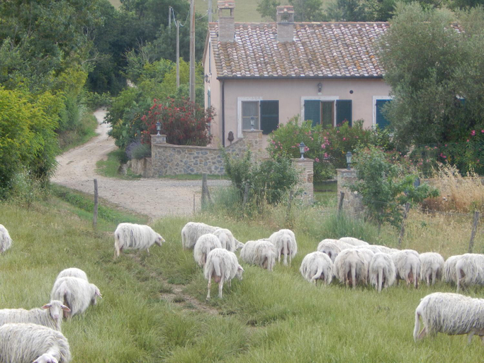 Piane Del Bagno, Grosseto