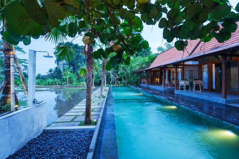 Swimming Pool 14