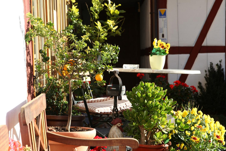 Others 4, Gastehaus Pfefferle Hotel garni und Ferienwohnungen, Sigmaringen