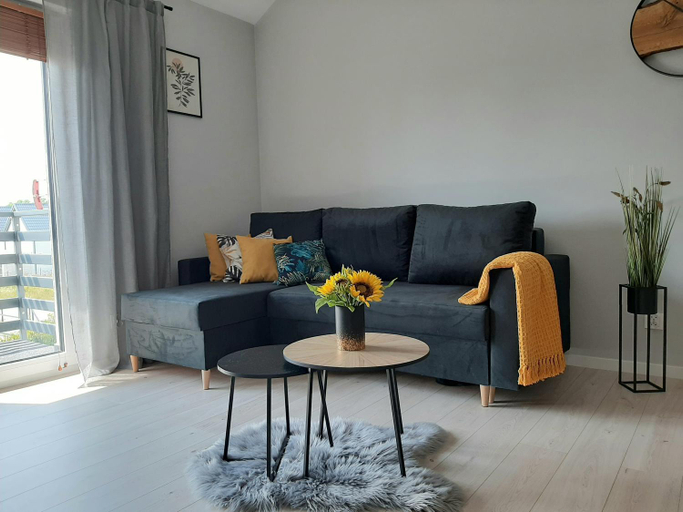 Guestroom, Apartament Miodowy, Puck