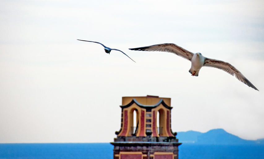 Others 4, Angiolina Apartments, Napoli
