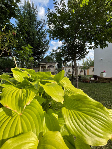 Apartments in villa Sabb for rent, Sarajevo