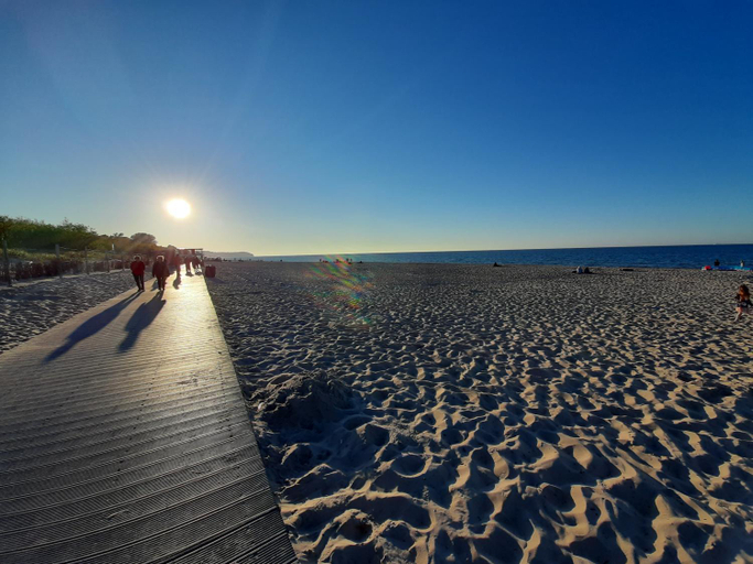 Beach 5, Apartament Miodowy, Puck