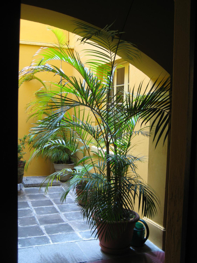 Others 4, Casa Carmel Bed & Breakfast, ZONA 1