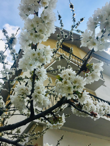 Dimora del cuore, Sondrio
