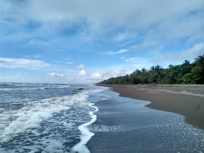 Others 4, Tortuguero Adventures Beach House, Pococí