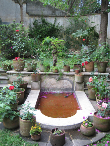 Others 5, Casa Carmel Bed & Breakfast, ZONA 1