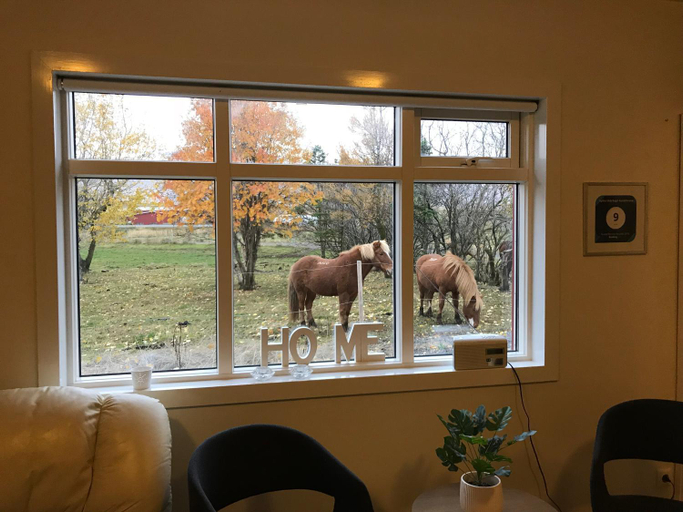 Others 5, Syðra-Skorðugil Guesthouse, Sveitarfélagið Skagafjörður