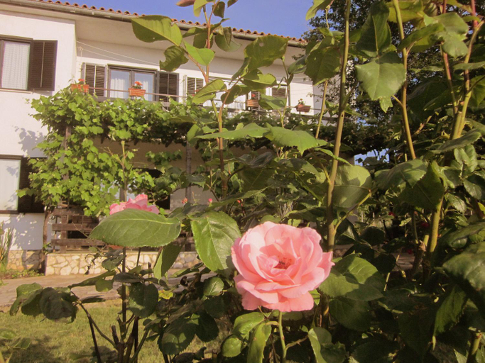 Garden 2, Apartment Iva, Rovinj