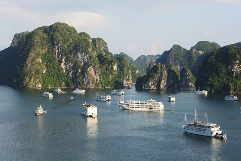 Others 2, Starlight Cruiser, Hạ Long