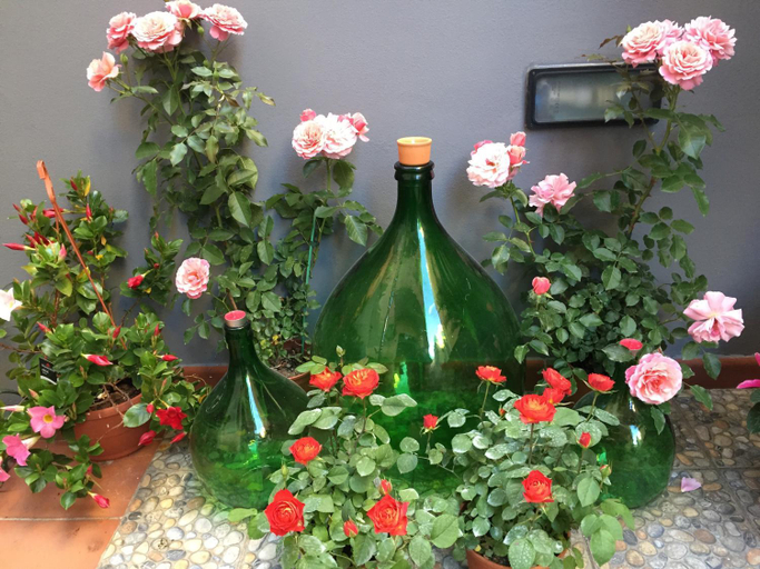 Food & Drinks 4, B&B Civico Cinque, Salerno