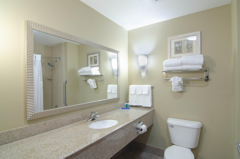 Bathroom, Comfort Suites Mobile-South Alabama University Area, Mobile