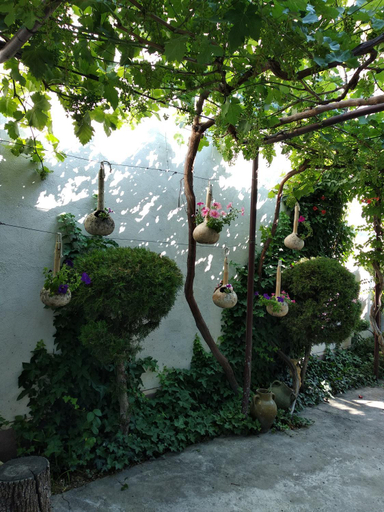 Others 4, Artson B&B Vagharshapat