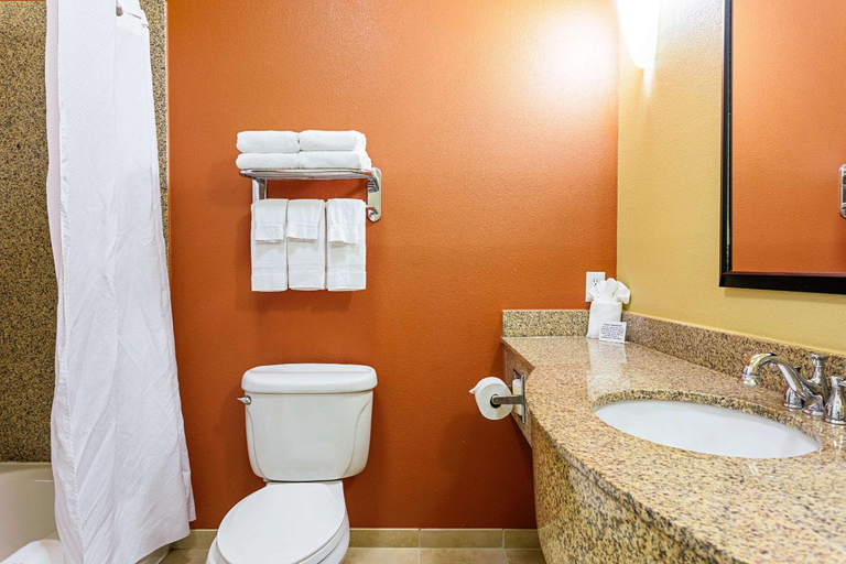 Bathroom 4, Sleep Inn & Suites Tyler South, Smith