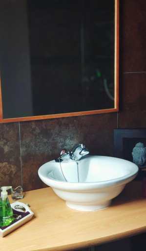 Bathroom 2, B&B Aquavert, Hainaut