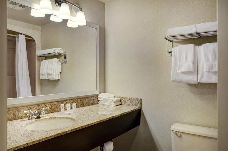 Bathroom 2, Travelway Inn Sudbury, Greater Sudbury