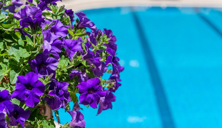 Sport & Beauty 4, Ilios Beach Hotel Apartments ADULTS ONLY, Crete