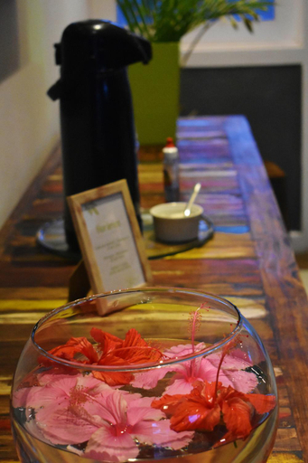 Food & Drinks 5, Hibiscus Center, Armação dos Búzios