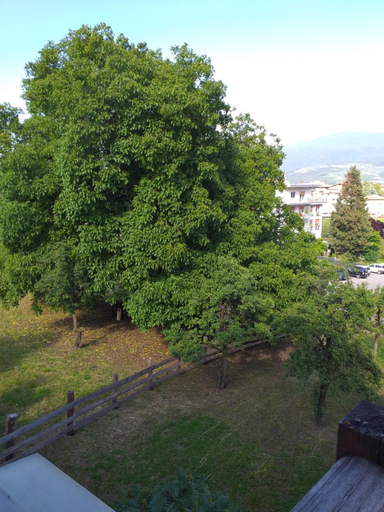 Others 4, B&B Las Vegan, Trento