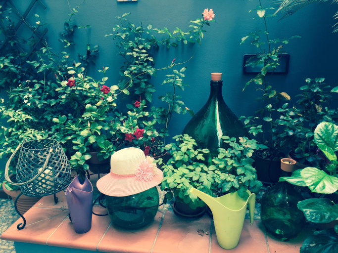Food & Drinks 3, B&B Civico Cinque, Salerno