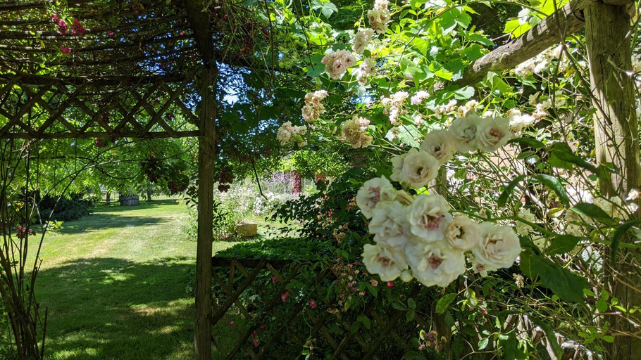 Garden 3, L´Aveneau, Deux-Sèvres