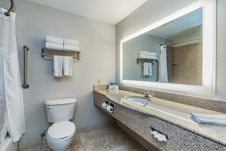 Bathroom 5, Holiday Inn Express & Suites SOUTH BEND - NOTRE DAME UNIV., Saint Joseph