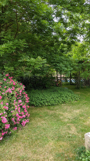 Garden 4, L´Aveneau, Deux-Sèvres