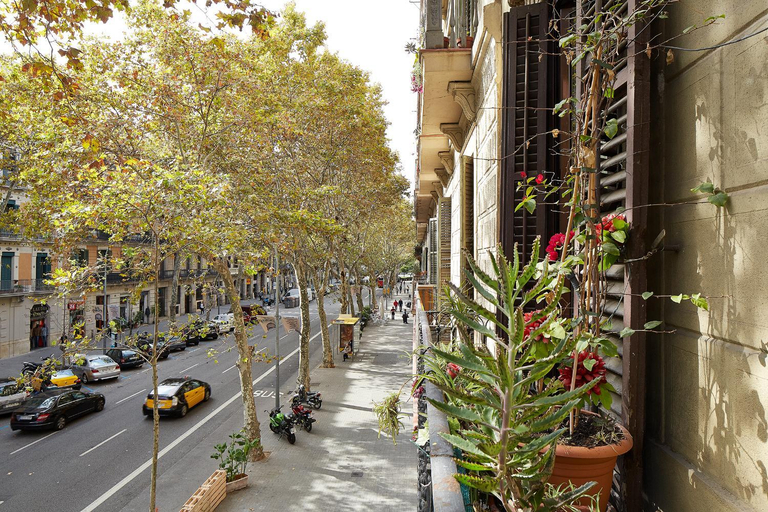 Others 5, BruStar Gotic Hotel, Barcelona