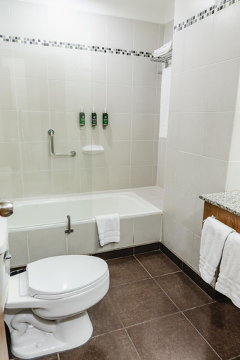 Bathroom 3, Wyndham Garden Guayaquil, Guayaquil