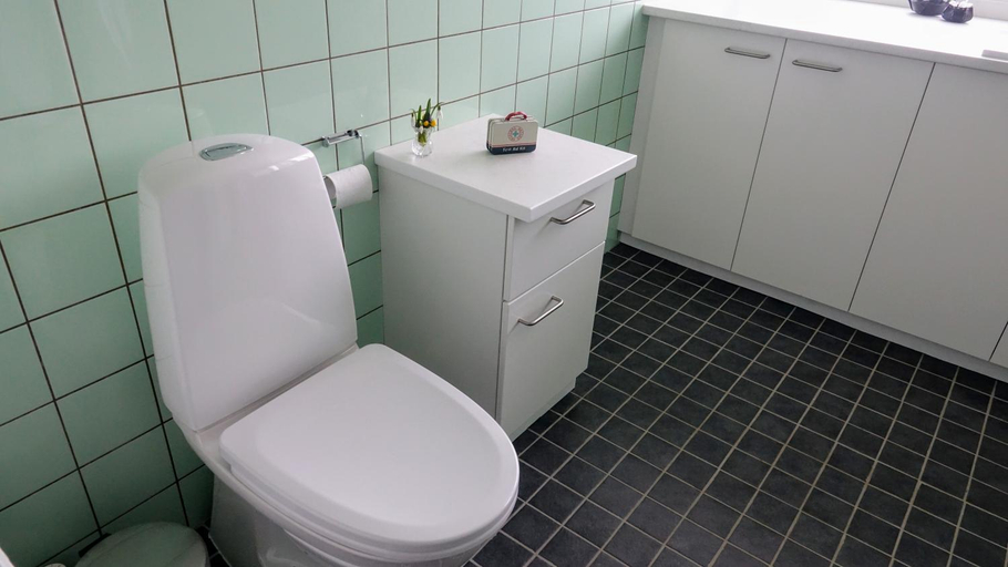 Bathroom 1, 2 rooms, private kitchen, bathroom, and garden., Århus