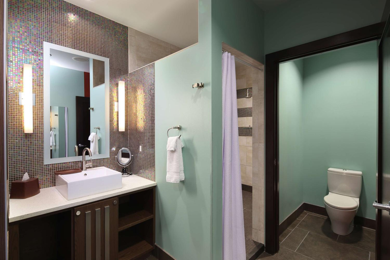 Bathroom 4, Tulyp Hotel Holland, Tapestry Collection Hilton, Ottawa