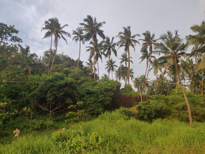 Others 4, Sunshine Service Villa, Kannur