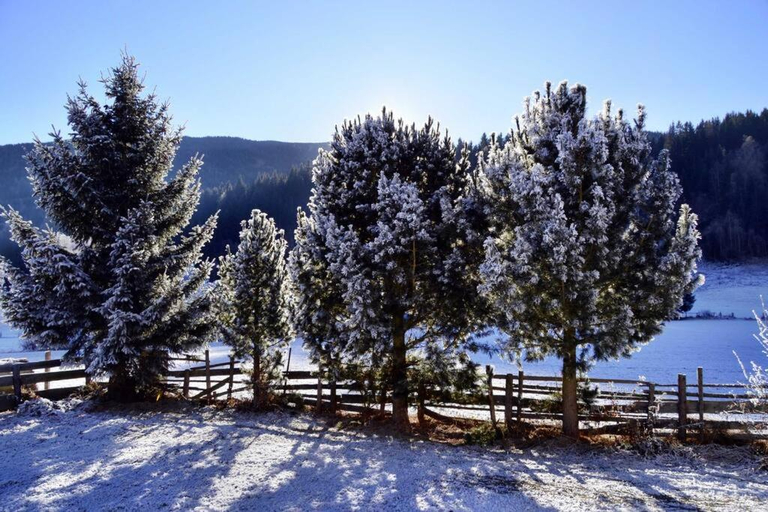Others 3, quiet and central Luxury Villa "Juwel " with Sauna in a beautiful valley, Tamsweg