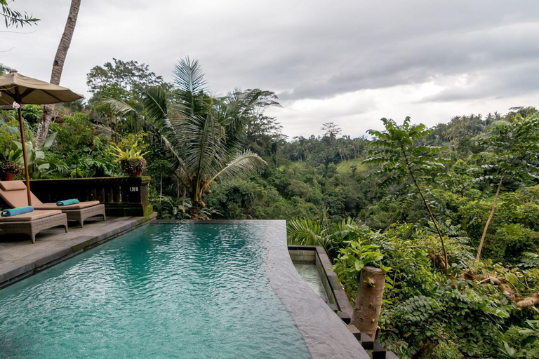 Swimming Pool 14