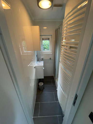 Bathroom 2, Forest Family 6 persoons op 5 sterren park, Apeldoorn