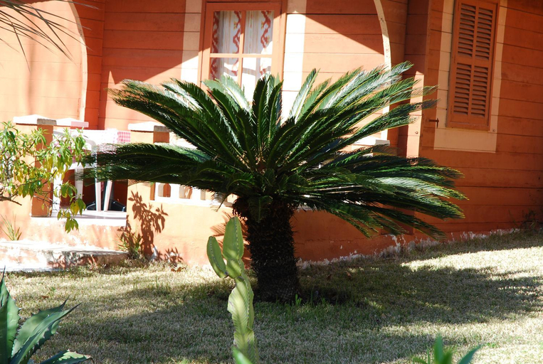 Others 5, Soller Garden, Baleares