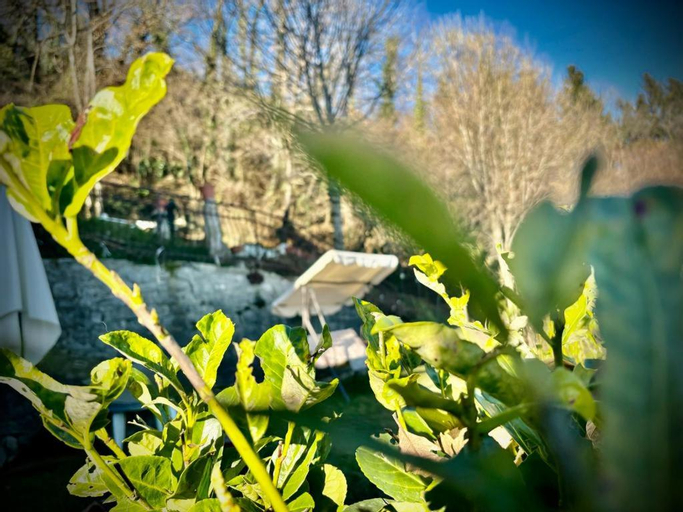 Scenery 14