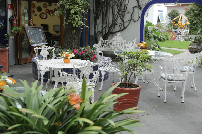 Food & Drinks 5, Hotel Casa Gonzalez, Mexico City