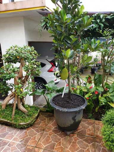 Scenery 11