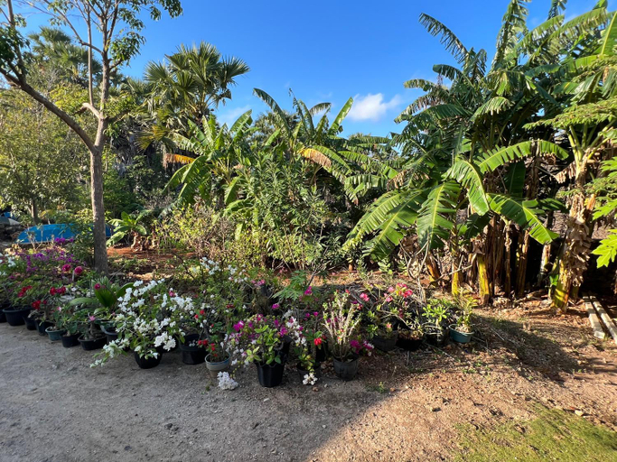 Others 5, Lualemba Bungalow Resort, Rote Ndao