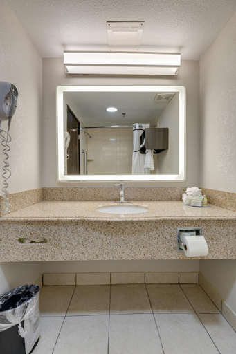 Bathroom 4, Alexis Inn and Suites Hotel, Davidson