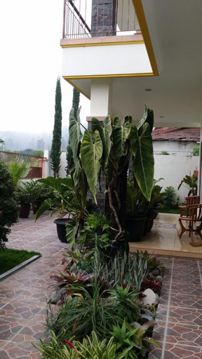 Scenery 10
