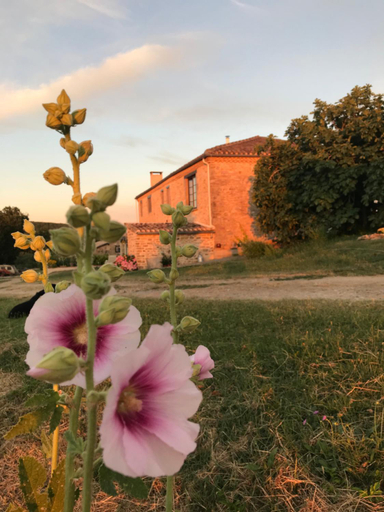 Others 5, Domaine du Colombier, Chambres d'Hotes, Tarn