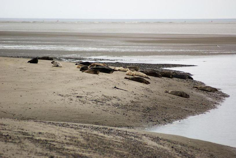 Others 3, La longere de Suzanne, Somme