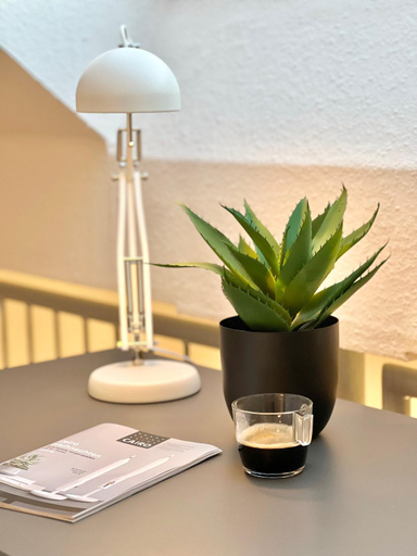 Others 4, BEECH APARTMENT: MAISONETTE + FREE PARKING + NETFLIX, Essen