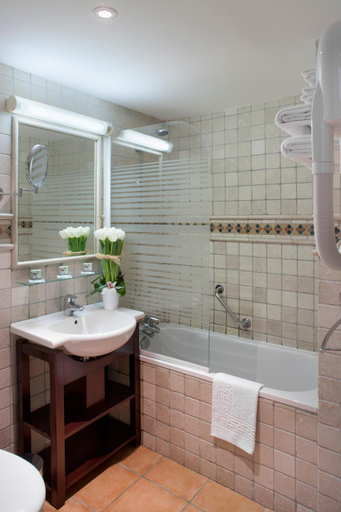 Bathroom 4, Hotel Relais Acropolis, Alpes-Maritimes